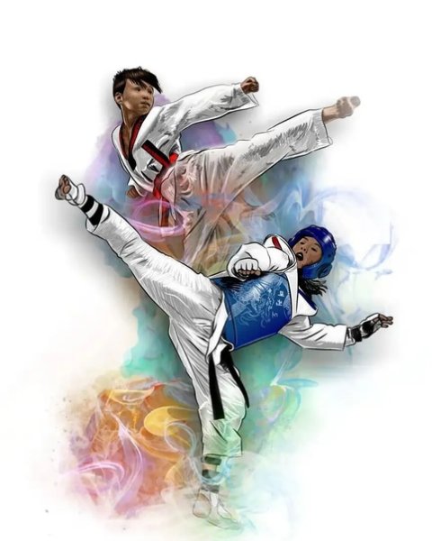 Постер тхэквондист