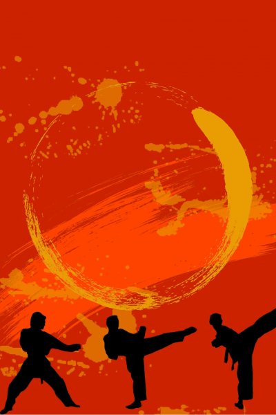 Taekwondo WT дети