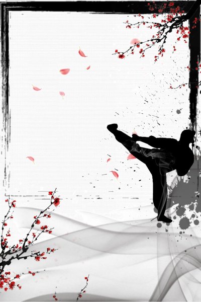 Силуэт единоборства