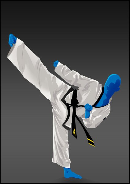 Фон тхэквондо ВТФ