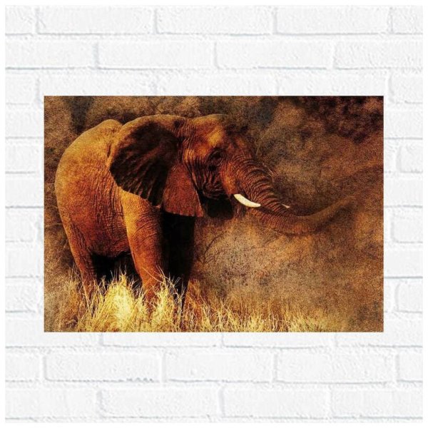 Слоны плакат