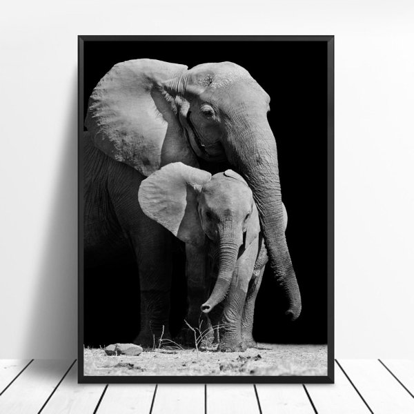 Постеры со слонами для интерьера