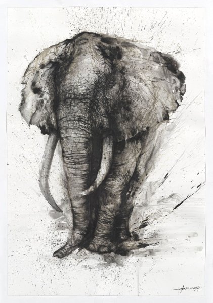 Слон плакат