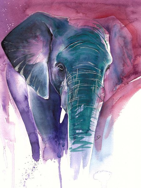 Постер слоны