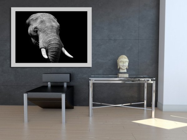 Постер слон черно белый
