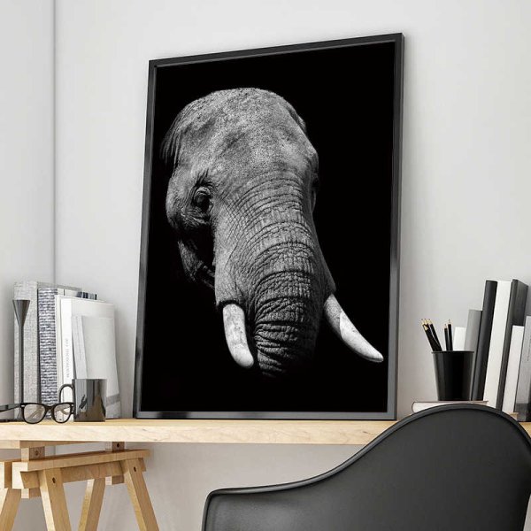 Постер слоны