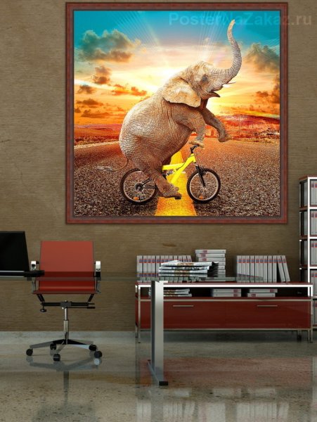 Яркие слоны