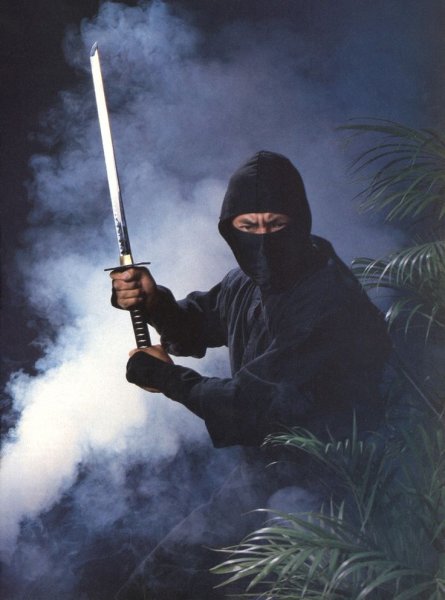 Американский ниндзя 1985