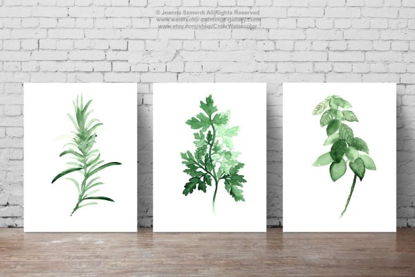 Акварель Тюлькина пионы