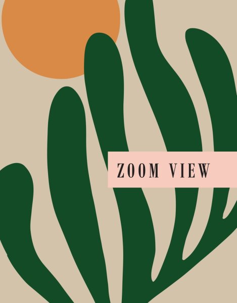 Henri Matisse poster