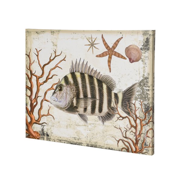 Постеры с рыбками