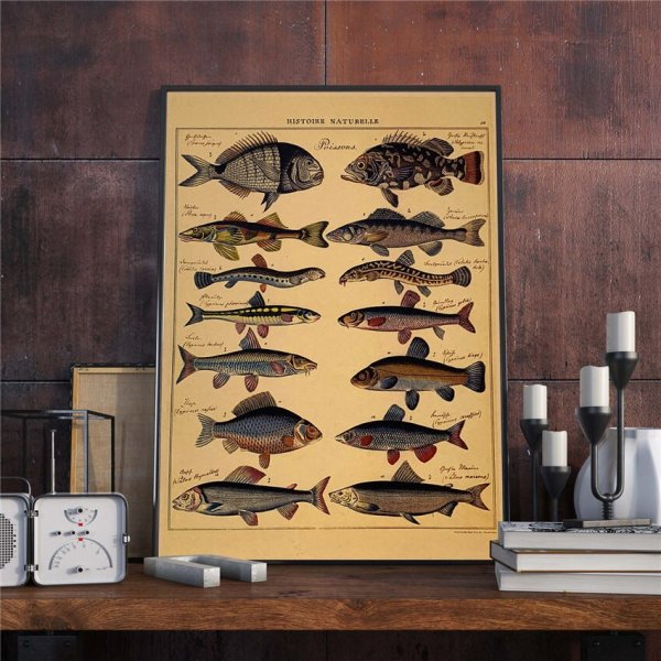 Старый финский Постер с рыбами