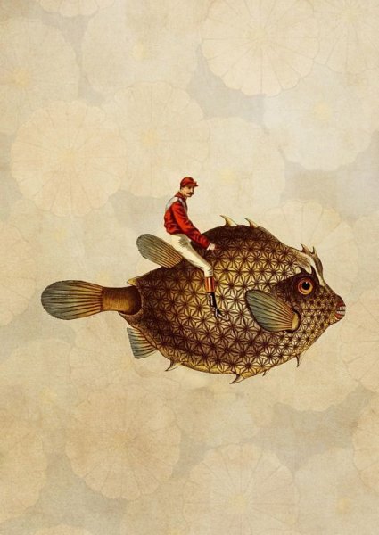 Живая рыба Пресноводные