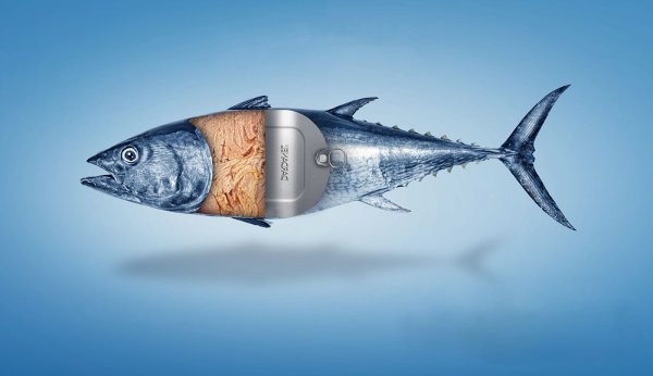 Кит Салмон картины