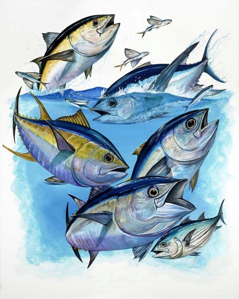 Рыбка дори Дисней