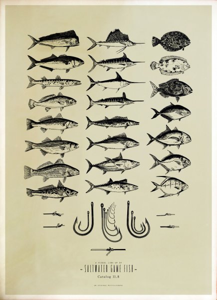 Постеры с рыбками