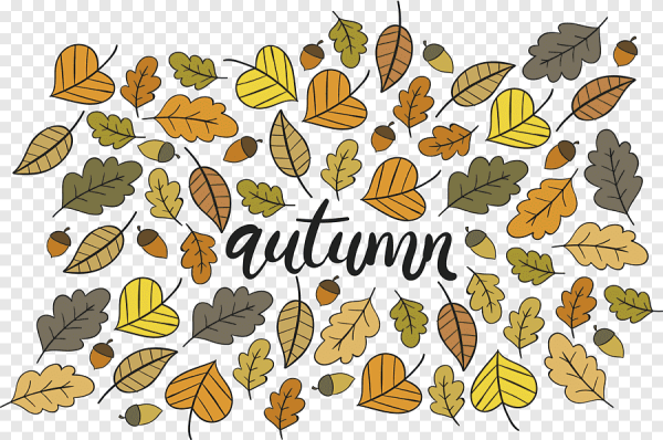 Осенние велосипеды вектор