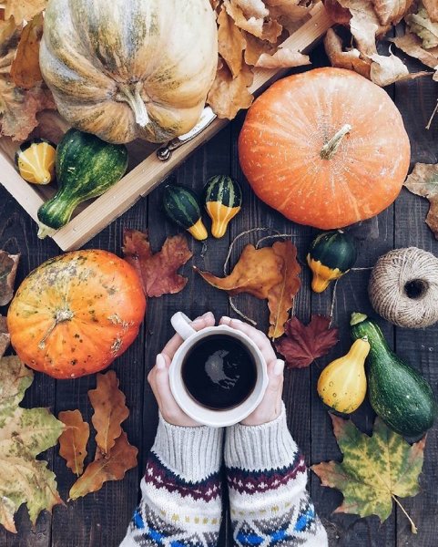 Осенние постеры для распечатки