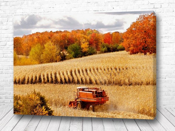 Аллея в парке осенью