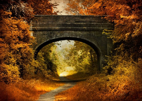 Осенние постеры