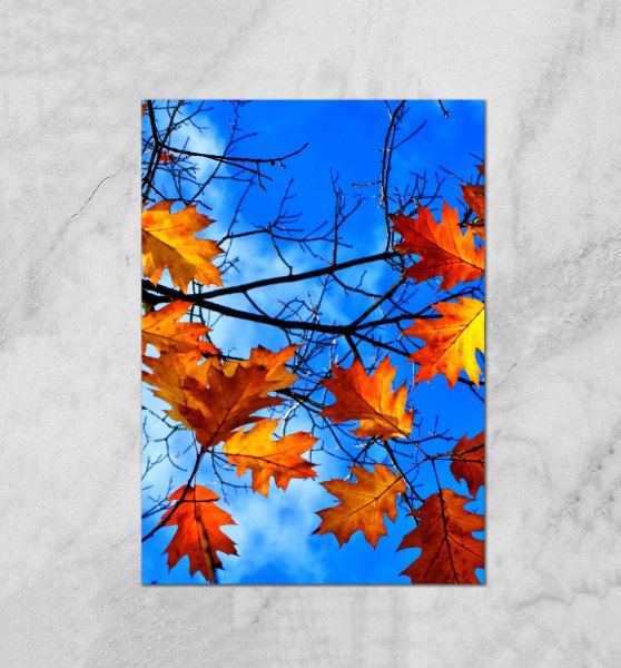 Осенние постеры