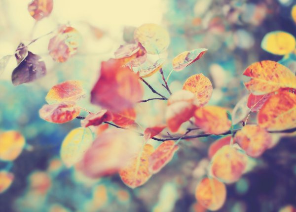 Осенний пейзаж