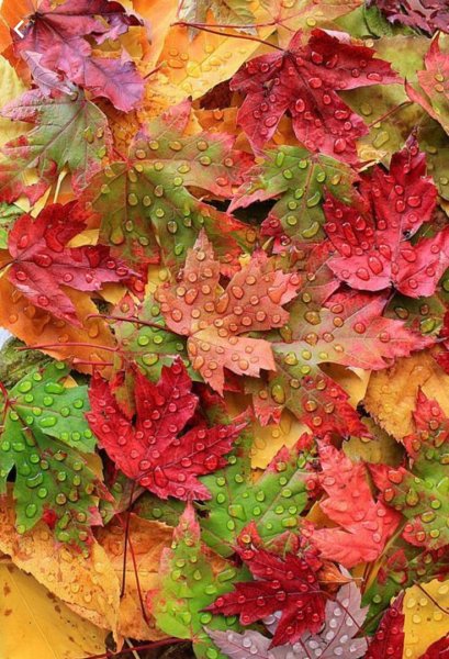 Постеры осень в стиле