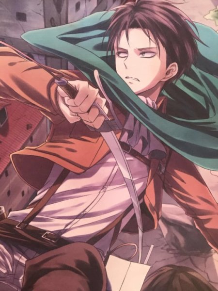 Леви шингеки