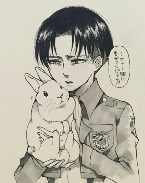 Микаса и Леви 4 сезон