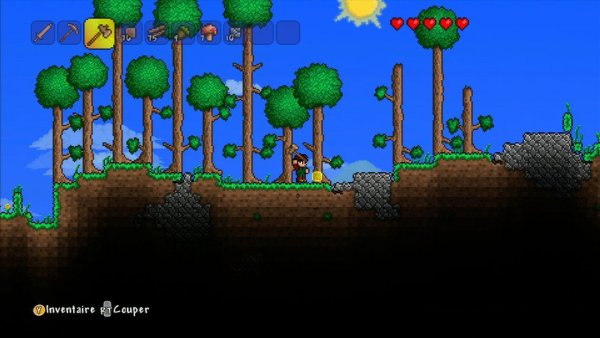 Terraria #5
