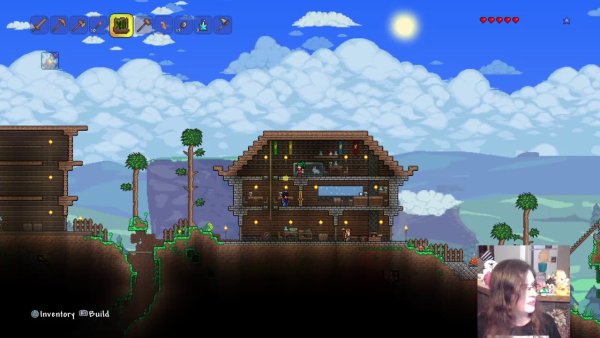 Terraria (ps4)