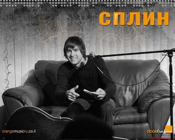 Сплин обои