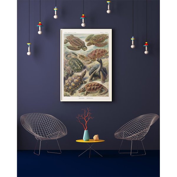 Фотообои спуск к морю