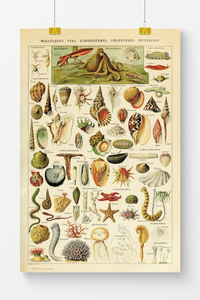 Постеры для интерьера в скандинавском стиле