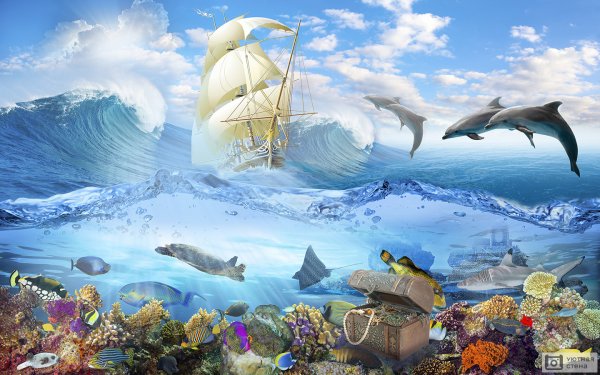 Моби Дик в сердце моря