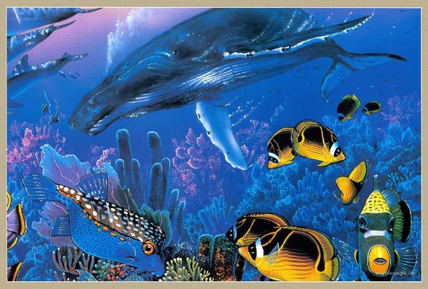 Постер корабль