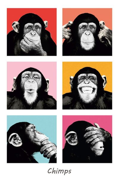 Мемные постеры на стену