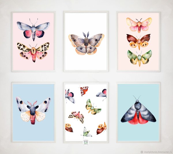 Голубые шторы с бабочками