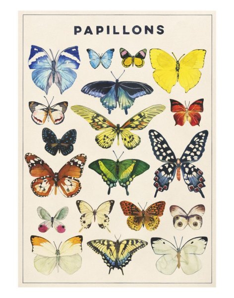 Плакат с бабочками