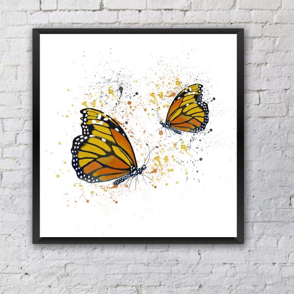 Виды бабочек плакат