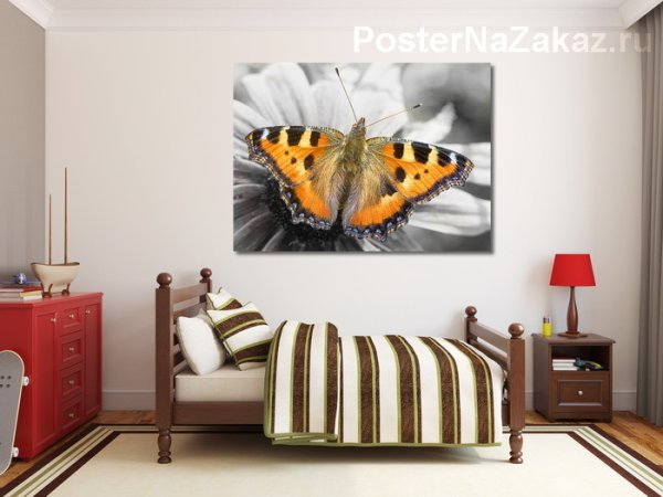 Виды бабочек плакат
