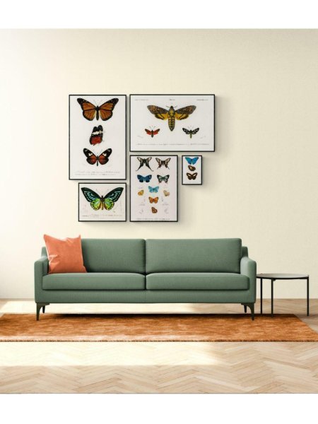 Плакат бабочки для травниц не цветные