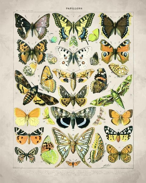 Картина бабочка икеа