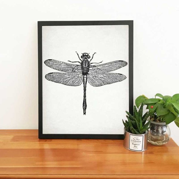 Автор постера бабочки