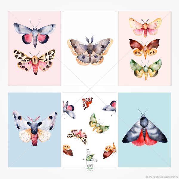 BYOBJECT Постер бабочки мира