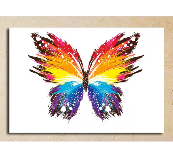 Морфо Амелия Грэм