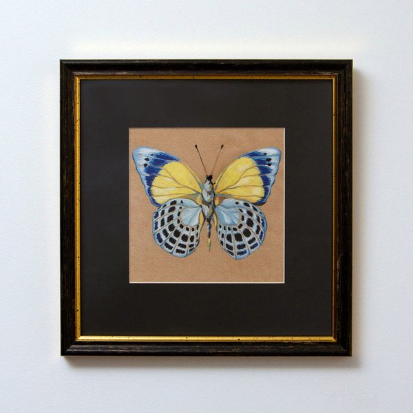 Маленькие постеры с бабочками