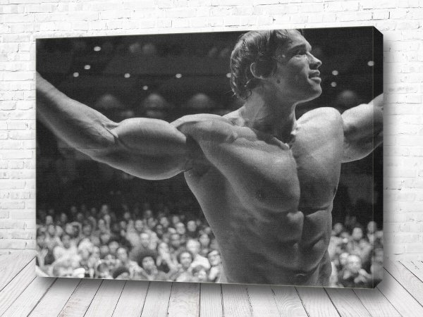 Постер Шварценеггера