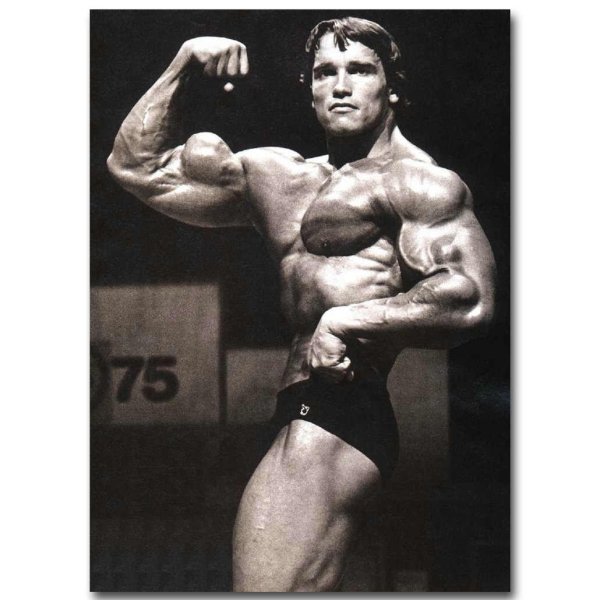 Schwarzenegger Commando Постер