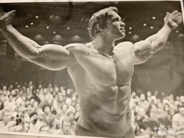 Арнольд Шварценеггер